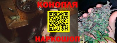 шишки Пугачёв