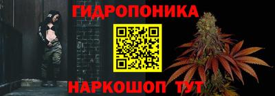 шишки Пугачёв